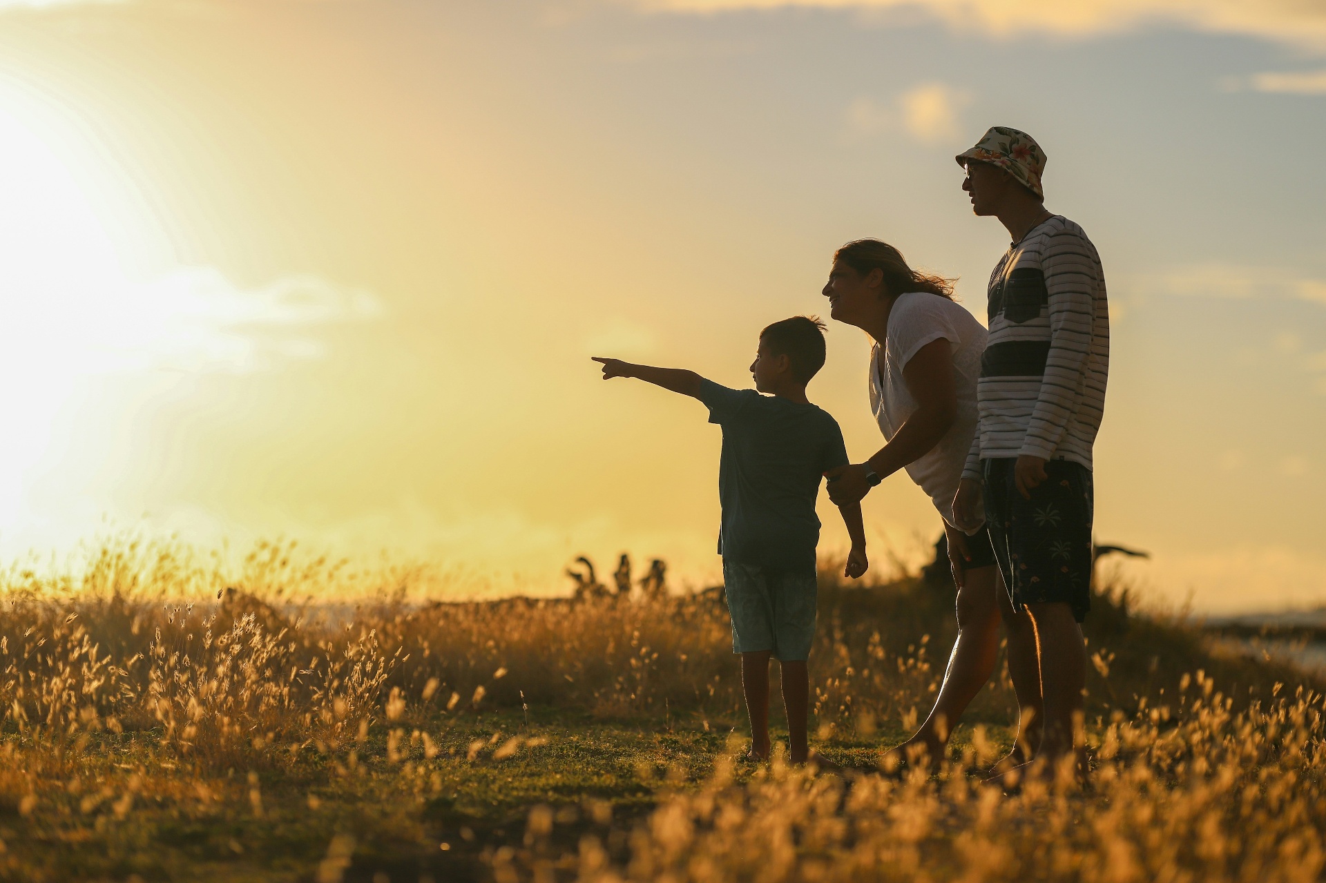 A family watching the sunset together in a grassy field